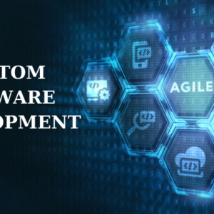Basic Plan Custom Software